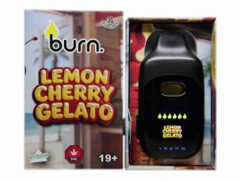 Burn Disposable Vapes - Lemon Cherry Gelato 3ML