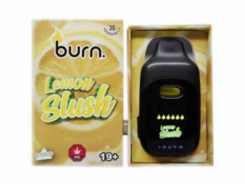 Burn Disposable Vapes - Lemon Slush 3ML