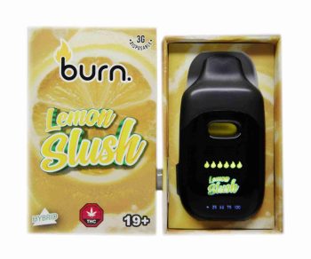Burn Disposable Vapes - Lemon Slush 3ML