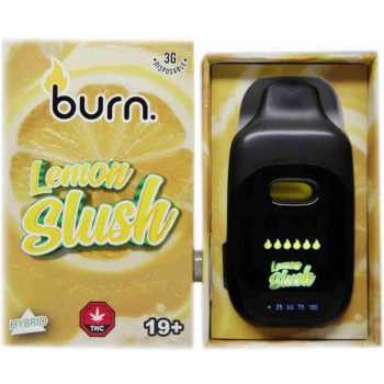 Burn Disposable Vapes - Lemon Slush 3ML