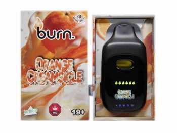 Burn Disposable Vapes - Orange Creamsicle 3ML