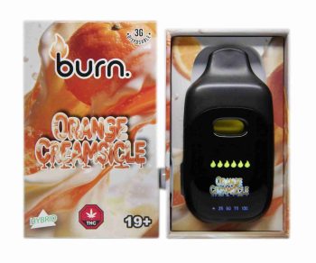 Burn Disposable Vapes - Orange Creamsicle 3ML