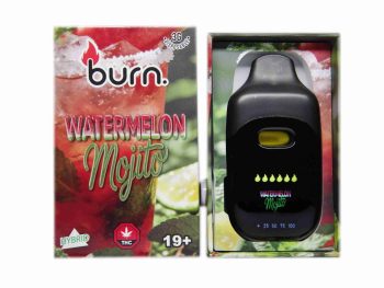 Burn Disposable Vapes - Watermelon Mojito 3ML