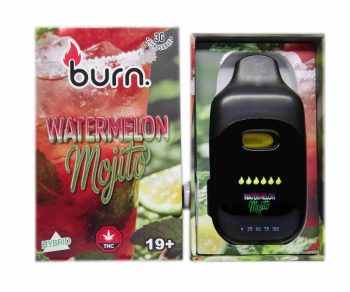 Burn Disposable Vapes - Watermelon Mojito 3ML