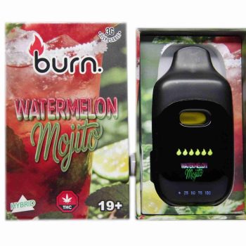 Burn Disposable Vapes - Watermelon Mojito 3ML
