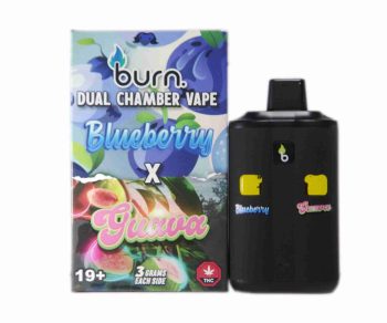 Burn Dual Chamber Disposable Vape – Blueberry x Guava 6G