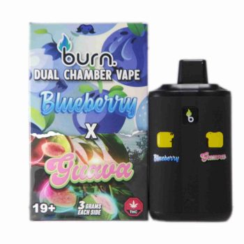 Burn Dual Chamber Disposable Vape – Blueberry x Guava 6G