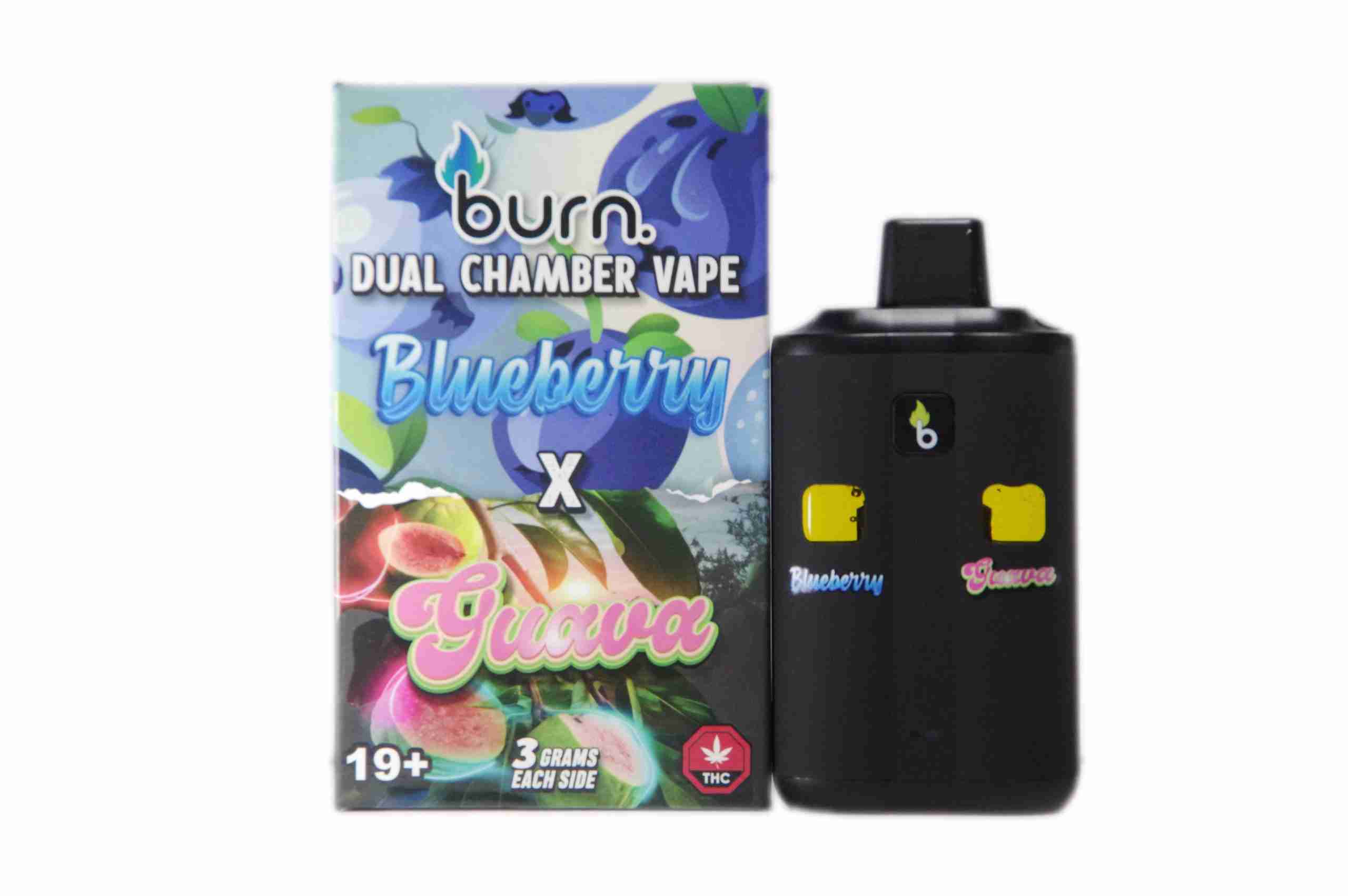 Burn Dual Chamber Disposable Vape – Blueberry x Guava 6G