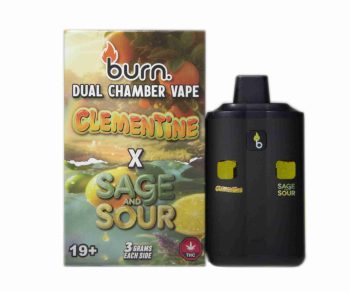 Burn Dual Chamber Disposable Vape – Clementine x Sage and Sour