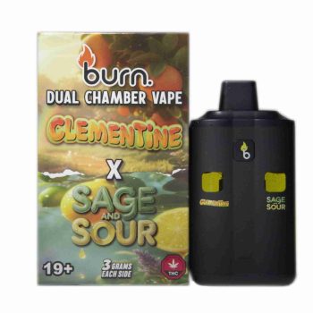 Burn Dual Chamber Disposable Vape – Clementine x Sage and Sour