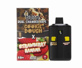 Burn Dual Chamber Disposable Vape – Cookie Dough x Strawberry Banana 6G