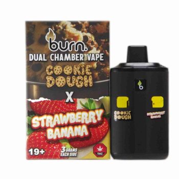 Burn Dual Chamber Disposable Vape – Cookie Dough x Strawberry Banana 6G