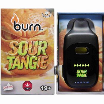Burn Disposable Vapes - Sour Tangie 3ML