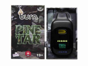 Burn Disposable Vapes - Pine Tar 3ML