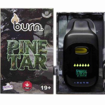 Burn Disposable Vapes - Pine Tar 3ML