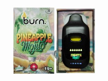 Burn Disposable Vapes - Pineapple Mojito 3ML