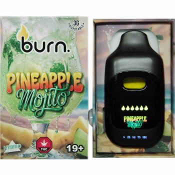 Burn Disposable Vapes - Pineapple Mojito 3ML