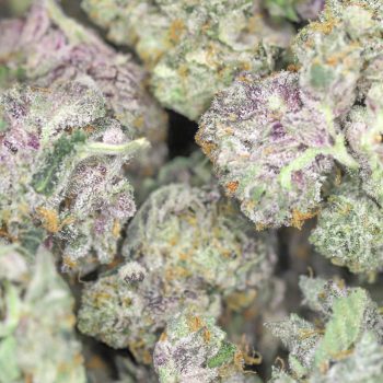 AAAA+ Small Buds - Peach Gelato